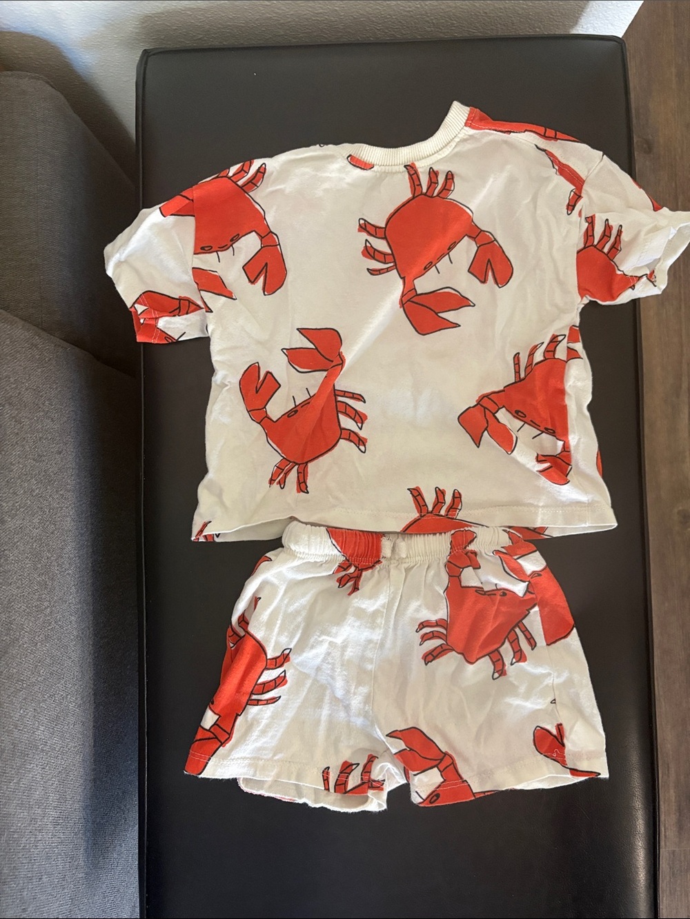 Zara Kids Crab Print T-Shirt & Shorts Set 2T